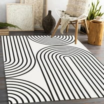 Black White Mid Century Area Rugs, Minimalist Arch Lines Rug, Washable Soft Fluffy Large Floor Carpet for Bedroom Living Room Office Dining Room Decorative 20"x32"
