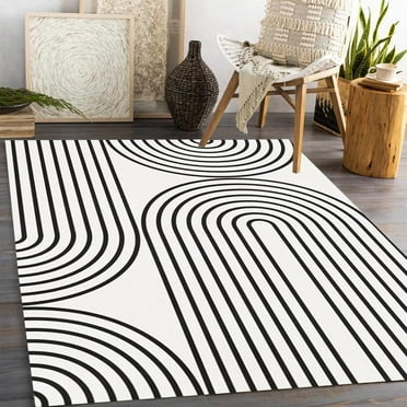 Black White Mid Century Area Rugs, Minimalist Arch Lines Rug, Washable Soft Fluffy Large Floor Carpet for Bedroom Living Room Office Dining Room Decorative 20"x32"