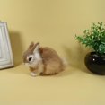 thumbnail image 3 of Simulación Relastic Rabbit Estatuillas de Conejos de Resina Artificial, Adornos para Jardín, Decoraciones para Casas de , 3 Magideal Simulación Relastic Rabbit, 3 of 7