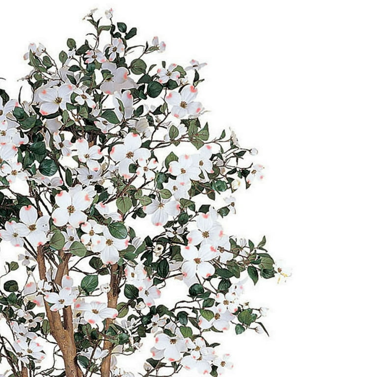 Silk Dogwood Blossoms