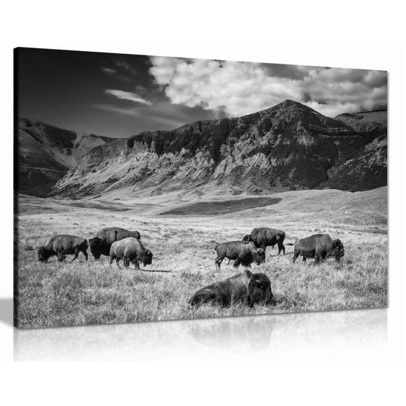 Black & White Wall Art Buffalo Grazing Mountain Landscape Canvas Wall Art Picture Print (30x20)