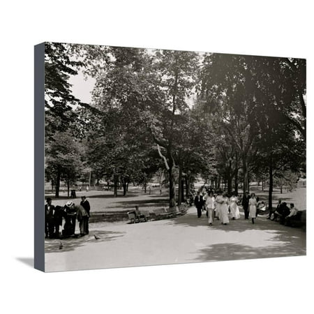 The Long Walk, Boston Common - 1915 Stretched Canvas Print Wall (Best Walks In Boston)