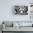 thumbnail image 2 of Trademark Fine Art Mike Jones Photo Oak Alley inf CHECK Canvas Wall Art - 12x19, 2 of 5