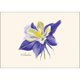 thumbnail image 2 of Juego de tarjetas de notas Earth Sky + Water, paquete de 8, 9 × 13 cm, 2 of 3