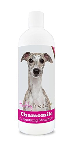 greyhound shampoo