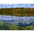 thumbnail image 2 of Flaherty, Dennis 18x15 White Modern Wood Framed Museum Art Print Titled - Canada, Ontario Park Haven Lake in autumn, 2 of 4
