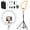 Pink, variant on 18" Large Ring Light with 60" Tripod Stand for , Portable Foldable Bi-Color 2500-6500K LED Big Ringlight for iPad with  Remote Video Recording YouTube  Photography Makeup