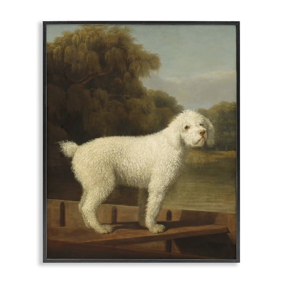 Stupell Industries French Country White Poodle in a Punt Black Framed Giclee Art, 11 x 14, by Tina LeCour