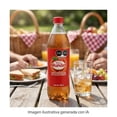 thumbnail image 3 of Refresco Sidral Mundet sabor manzana de 600 ml, 3 of 5