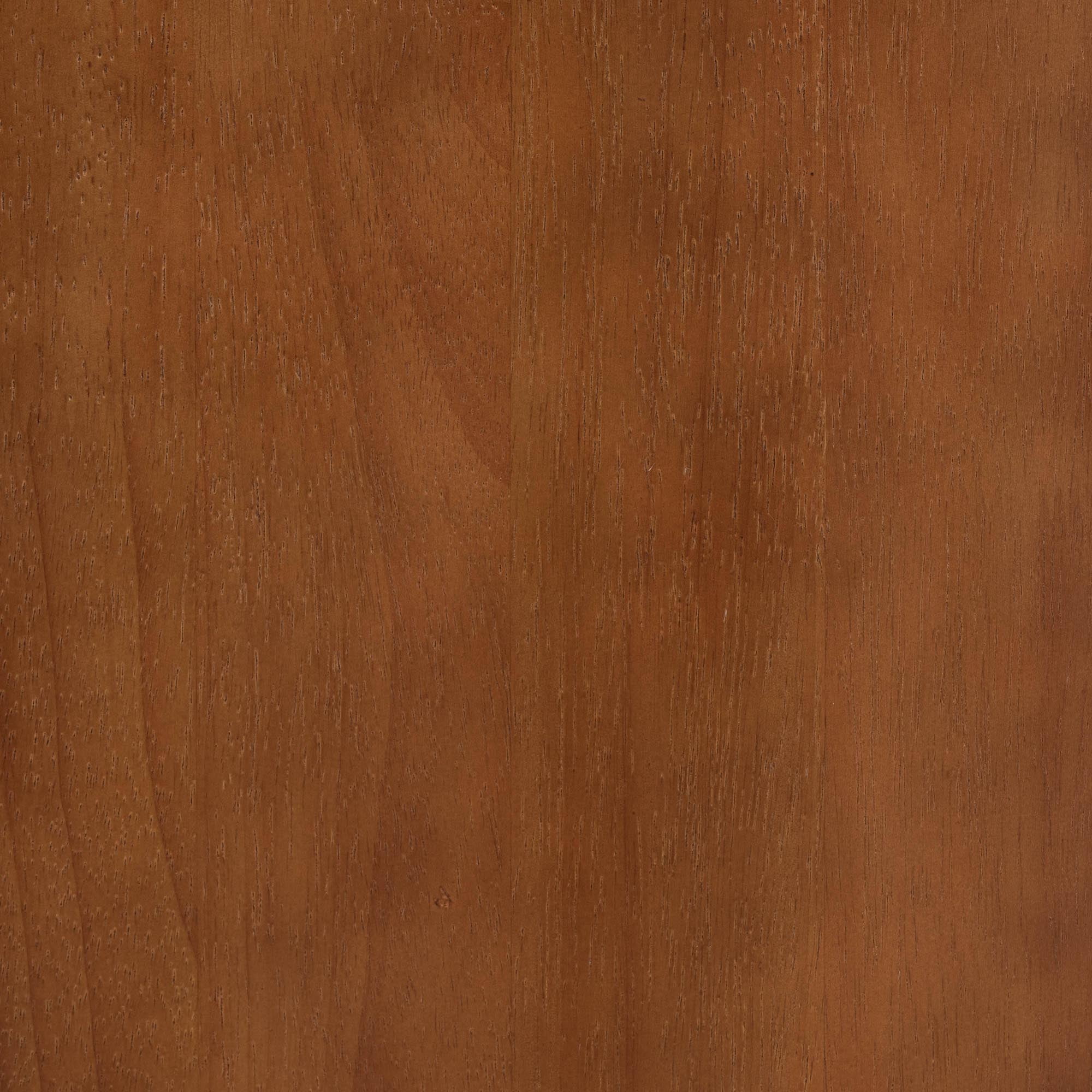 Baxton Studio Seamus Mid-Century Modern Nightstand, 2-Drawer, Walnut Brown