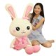 thumbnail image 5 of 30cm unisex cute gift plush bunny soft toy animal darling doll baby child Christmas happy birthday colourful gift toy, 5 of 5