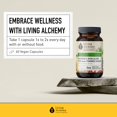 thumbnail image 4 of Suplementos de hierro para mujeres - Hierro fermentado Koji con alga nori, c&#2013265921scara de lim&#2013265923n y acerola - Suplemento suave para el est&#2013265923mago, la sangre, 4 of 8
