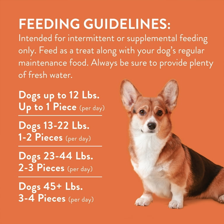 Pembroke Welsh Corgis Corgi Care Guide Dog Breeds Information