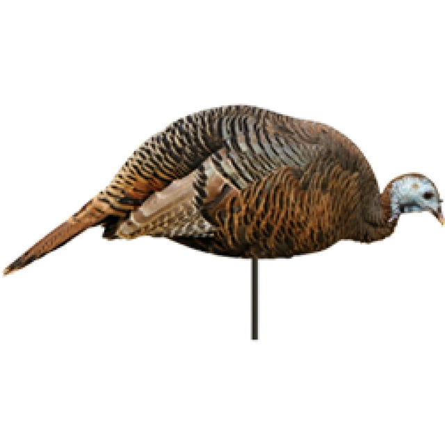 Montana Decoy 0043 Dinner Belle Hen Turkey Decoy