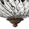 thumbnail image 4 of Hinkley Lighting - Plantation - 2 Light Small Flush Mount in Traditional-Glam, 4 of 9