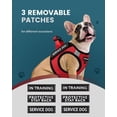 thumbnail image 3 of Chaleco FAYOGOO para perros de servicio, ligero, para razas pequeñas, con parches, 3 of 6