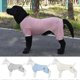 thumbnail image 2 of Summer Dog Clothes Breathable Anti-uv Elastic Large Dog Sun Protection Clothing Pet Four-legged Clothes, 2 of 4