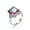 Rainbow, variant on Rainbow Princess Cut AAA CZ Band for Female 925 Silver Engagament Ring Size 6-10