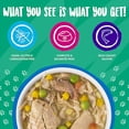 thumbnail image 2 of Classics Jammin' Salmon with Chicken & Salmon in Pumpkin Soup Wet Dog Food 14 oz., Case of 12, 2 of 2