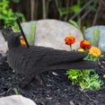 thumbnail image 1 of Crow Sculpture, Plastic Crow Decoys Hangable Waterproof Decorative Effect  For Desks, 1 of 8