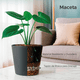 thumbnail image 2 of Maceta Elly Gerbera  para Plantas Grandes 50 x 44.5 cm Color Negro Carbón, 2 of 5