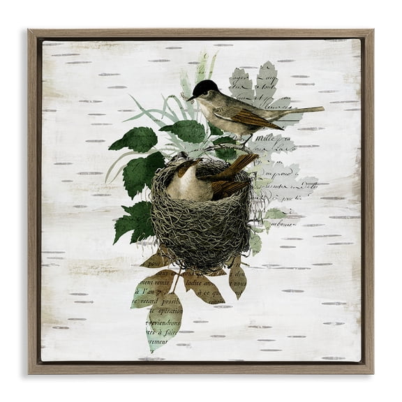 Stupell Industries Cottage Birds in Vintage Nest Brown Floating Frame Canvas Art, 18 x 18, by Susan Arnot