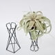 thumbnail image 4 of EeaseMX soportes para plantas de aire, soporte de hierro para plantas, estante creativo para exhibición de plantas., 4 of 8
