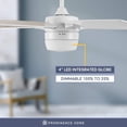 thumbnail image 4 of Ventilador De Techo Smart Prominence Home 52'' Cntrl Remoto Prominence Home  Dorsey, 4 of 5