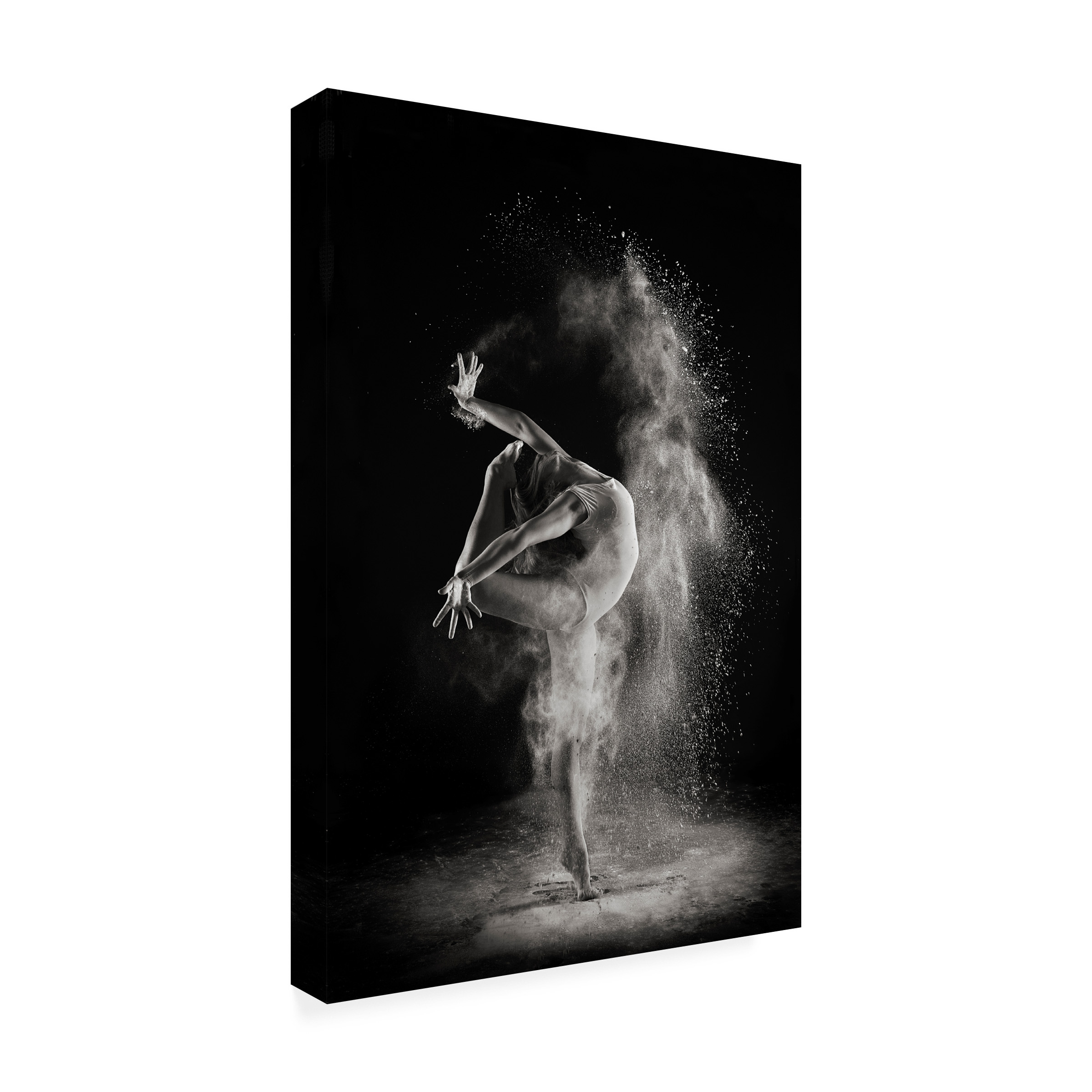 Shades And Light 'In The Light' Canvas Art