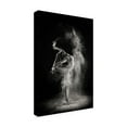 thumbnail image 4 of Shades And Light 'In The Light' Canvas Art, 4 of 4