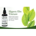 thumbnail image 3 of St. Francis Herb Farm Slippery Elm, 3 of 5
