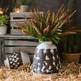 thumbnail image 2 of Buddleja Butterfly Bush Bundle 18" Tall, 2 of 12