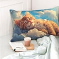 thumbnail image 4 of Balery Cloud Sleeping Cat Funda de Cojín Estampada, Regalos para Mujeres, Regalos de Amor para Ella, Regalos para Novia o Esposa, Funda de Almohada-16"x24", 4 of 6