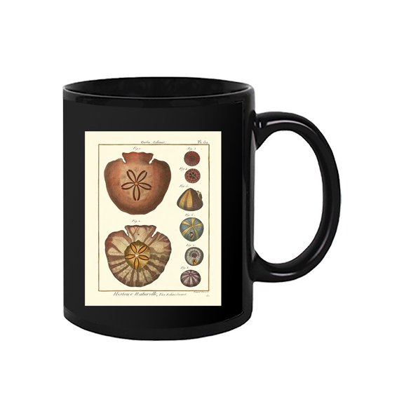 Sand Dollars Iv Mug - Denis Diderot Designs,