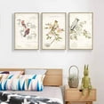 thumbnail image 2 of wall26 Framed Canvas Wall Art for Living Room, Bedroom Bird Illustration VI Canvas Prints for Home Decoration Ready to Hang - 24"x36"x3 Panels, 2 of 4
