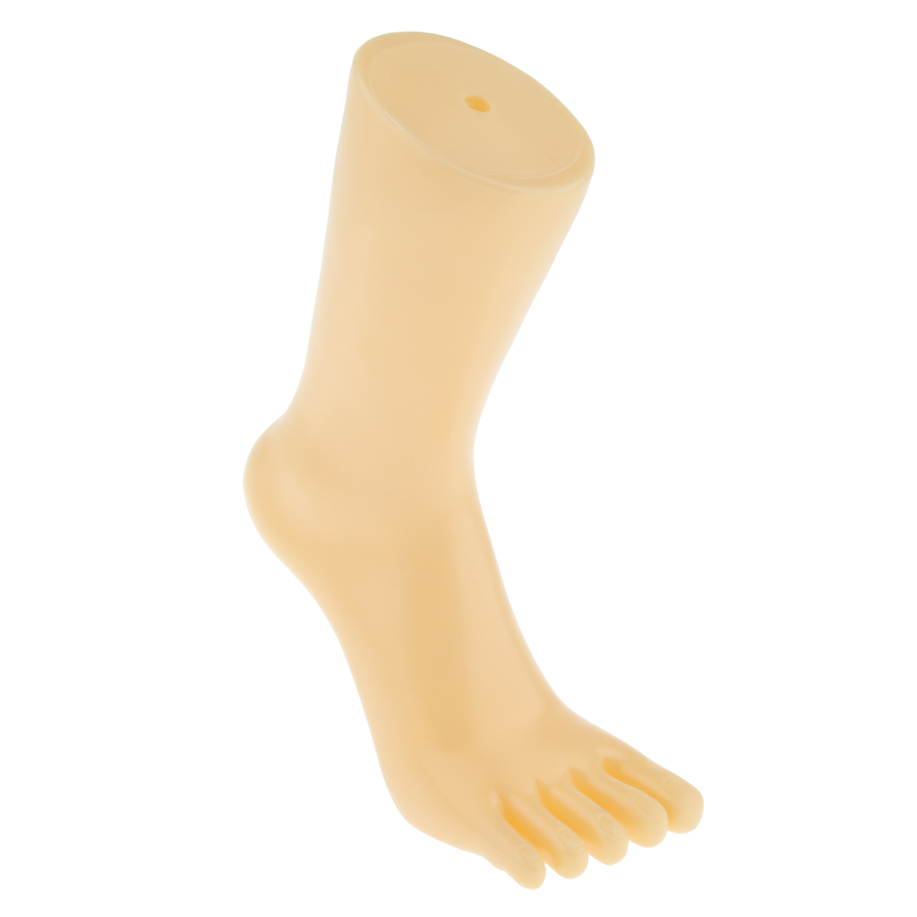Unisex Foot Model Mannequin Feet for Shoes Sock Display Right