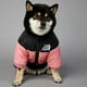 thumbnail image 1 of The Dog Fans Winter Dog Jacket Luxury Pet Clothes Warm Thick Stitching Pet Coat Teddy Chihuahua  Vest for Small Medium Dogs ShopWise Round, 1 of 11