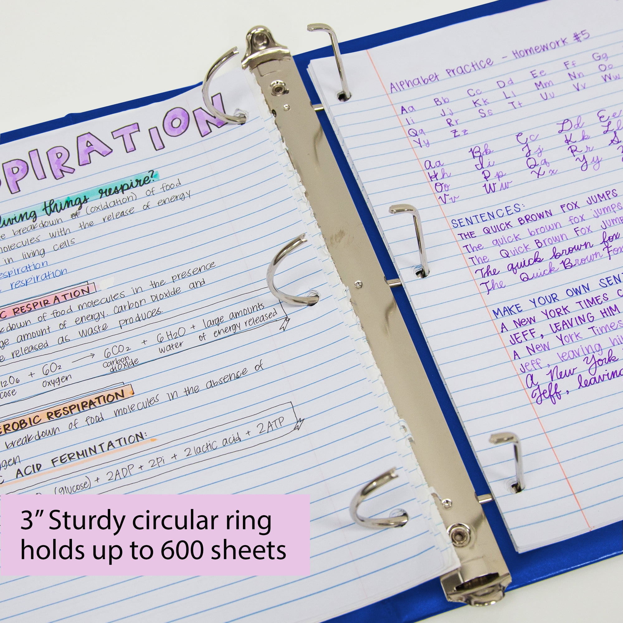 BAZIC 3 Ring Binder 3" View Binders Slant D Ring Blue, Hold 600 Sheets, 12-Count