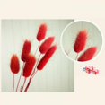 thumbnail image 2 of Dried Pampas Grass Decor Tall - Total 50 Stems - Multi - Color Small Pampas Grass Plants for Home Decor , Wedding and Events Arrangements, 2 of 3