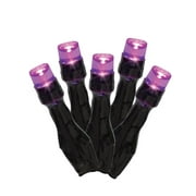 Way to Celebrate Halloween 100-Count Indoor Outdoor Purple LED Micro Lights, with AC Adaptor, 120 Volts