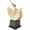 Gold Abstract Dancer Asymmetrical 9" x 4" x 12", variant on 9" x 12" Gold Polystone Dancer Sculpture with Black Square Base, by DecMode