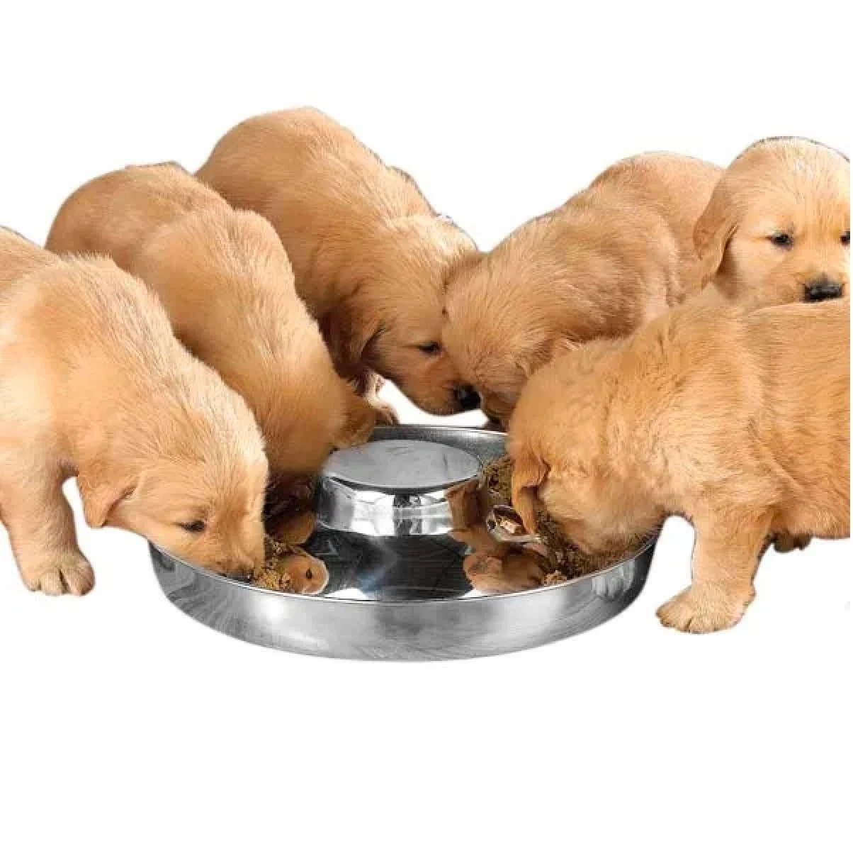 25 Dish Stainless Steel Puppy Dog Cat Slow Feeder Litter Weaning Bowl Bulk Pack (11 Inch - 50 ounce)