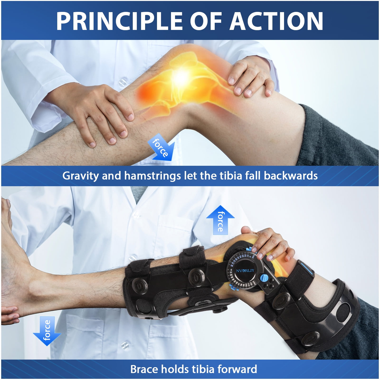 Nvorliy Knee Brace for Functional Posterior Cruciate Ligament (PCL) Recovery Stabilization, Adjustable Medical Post-Op Orthosis for Post-Surgery Support, Women and Men (Right, Large)