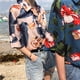 thumbnail image 5 of Camisa de vacaciones Mujer Blusa informal con estampado floral de verano Top de manga corta, Rosa Yuarrent AP001495-01B, 5 of 7