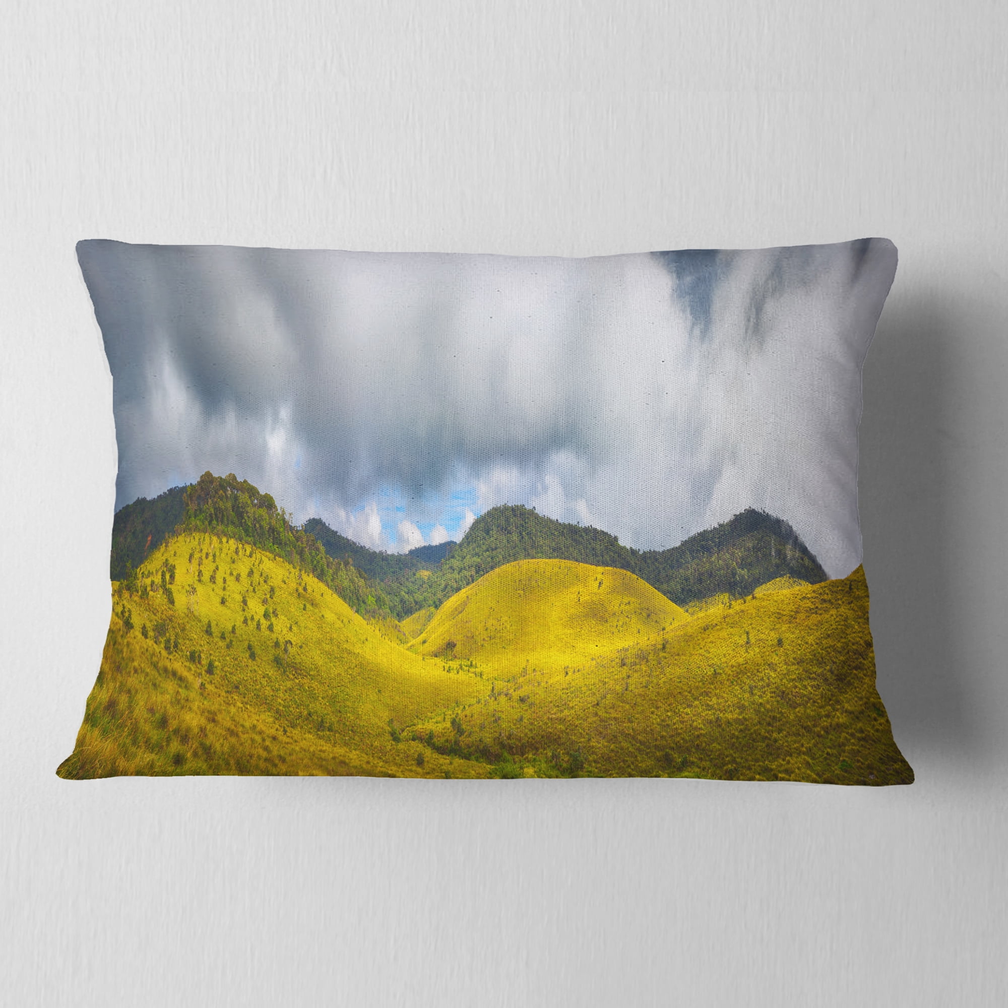 Designart The Horton Plains - Landscape Painting Throw Pillow - 12x20