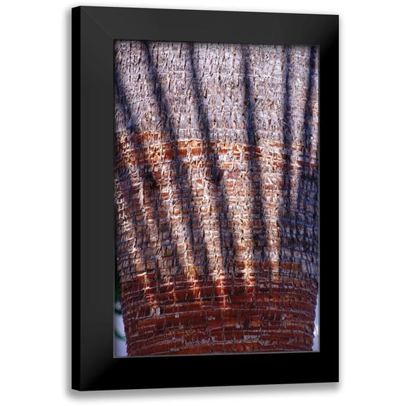 Blue, Cyril 11x14 Black Modern Framed Museum Art Print Titled - Date Palm Crown