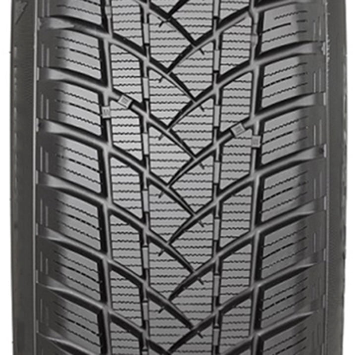 GT Radial Winterpro 2 225/55R16XL 99H Tire