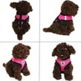 thumbnail image 4 of Dog Harness and Leash Set for Walking, Escape Proof Vest Harness with Soft Mesh, Adjustable Velcro, Reflective Strips for Kitten Cats and Puppy Dogs, 4 of 11