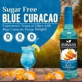 thumbnail image 2 of Syruvia Sugar-Free Blue Curacao Syrup for Drinks 1 Case (6 Bottles, 25.4 fl oz Each) Blue Curacao Flavoring Syrup, 2 of 8
