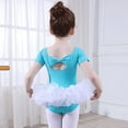 thumbnail image 5 of Toddler Girls' Leotards Short Sleeve Glitter Dance Ballet Tutu Dresses Ballerina Size 8-9T, 5 of 5
